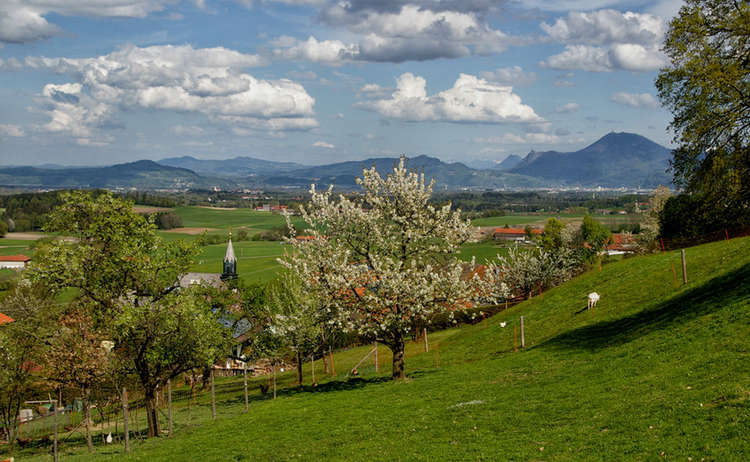 Blick vom Högl ins Salzburger Land | Högler Rundwanderung