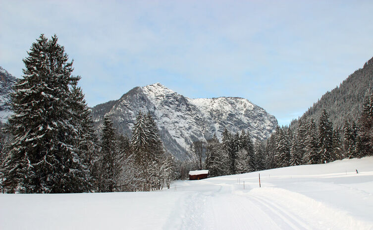 Langlauf-Loipe am Taubensee