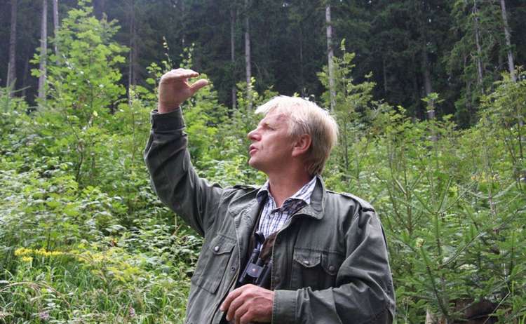 Borkenkäfer Monitoring im Nationalpark Berchtesgaden