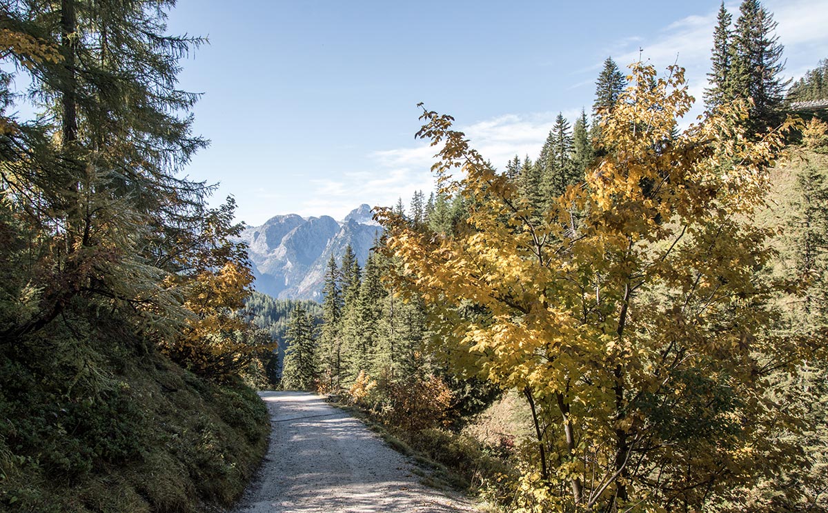 Die Koenigsbergalm 1