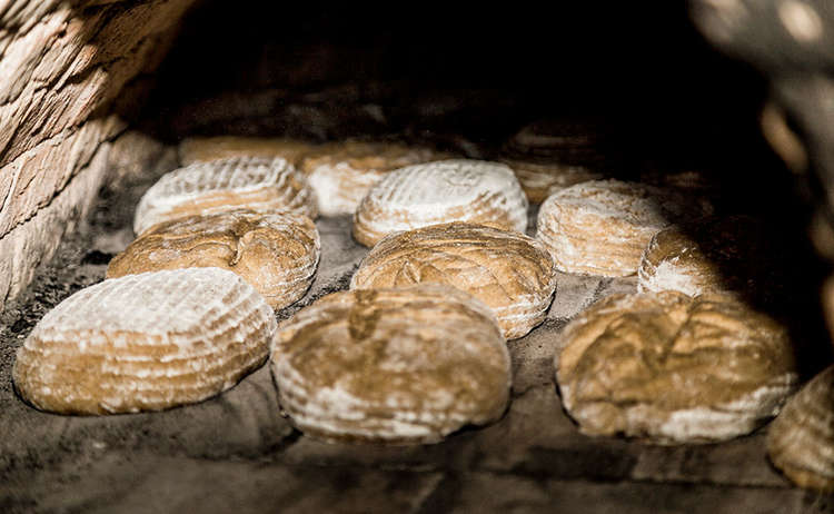 Brotbacken | Bioerlebnis | Ökomodellregion © Daniel Delang / ÖMR