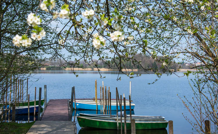 Frühling am Abtsdorfer See