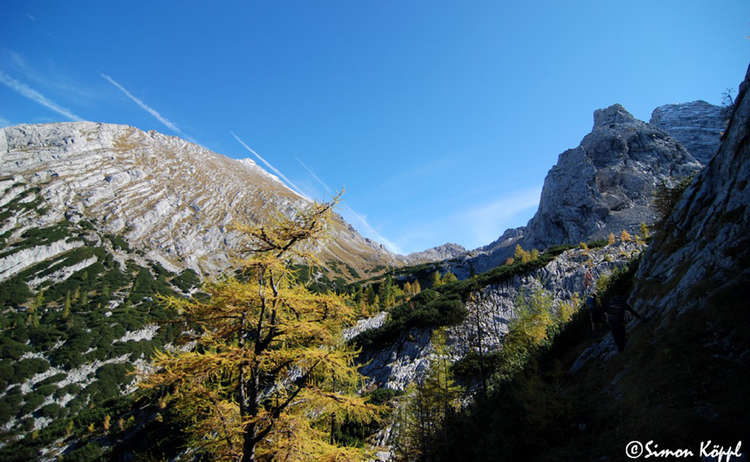 Herbst im Sitterbachtal