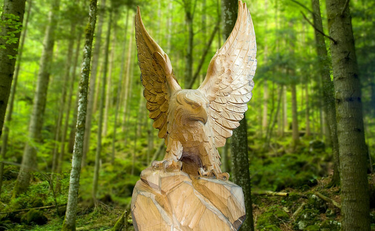 Adler am Märchenpfad Bischofswiesen