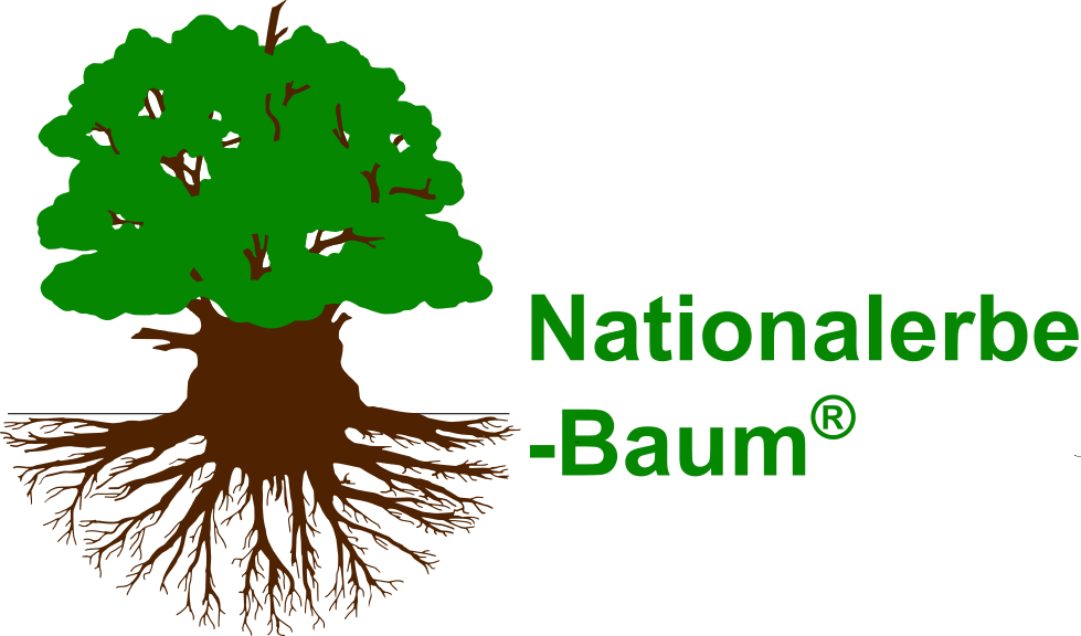 Nationalerbe Baum 1