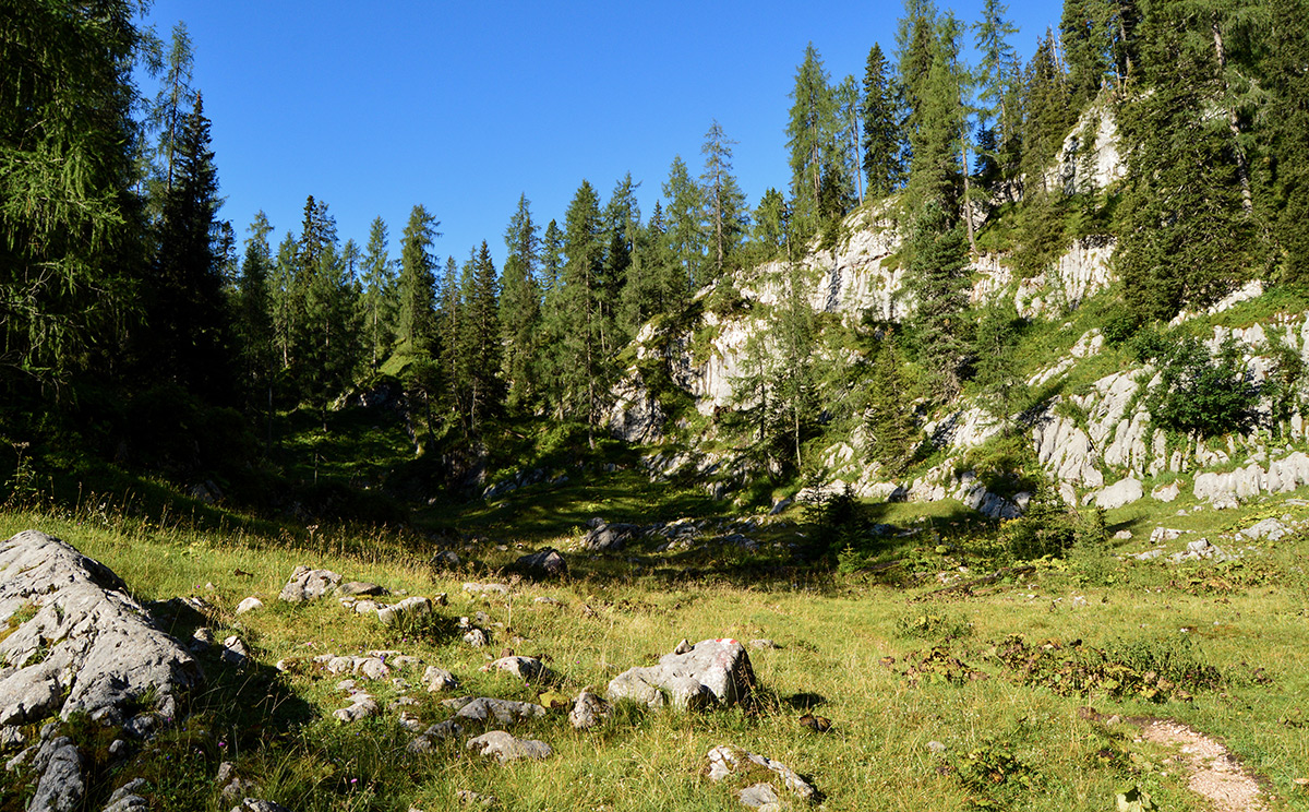 Naturwaldreservat Reiter Alm 2