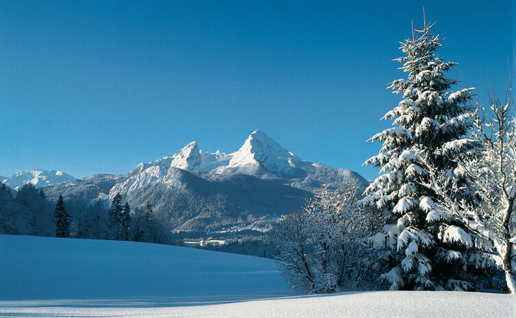Winter im Nationalpark Berchtesgaden