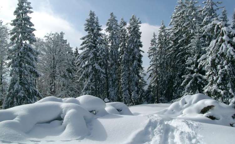 Winter in Bischofswiesen