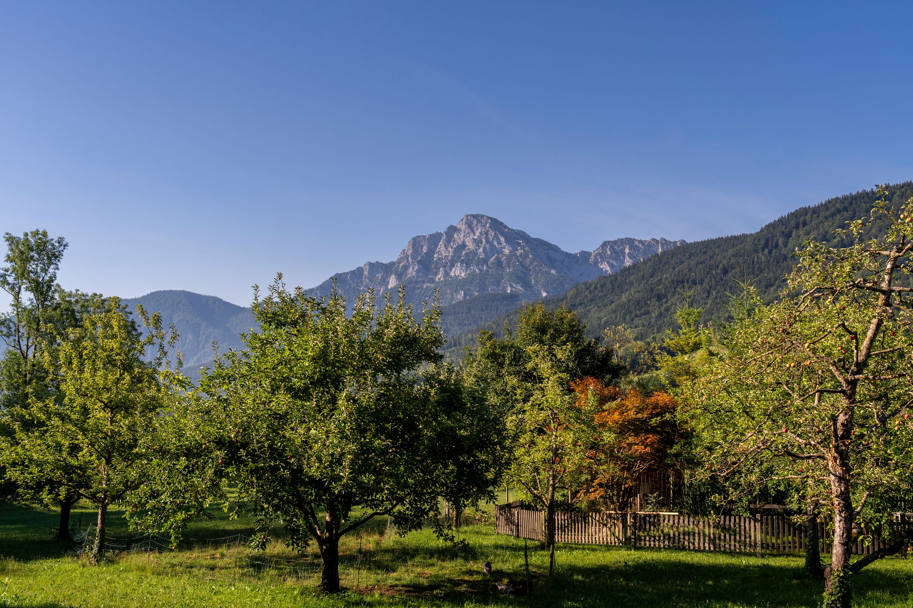 Blick zum Hochstaufen von Ange