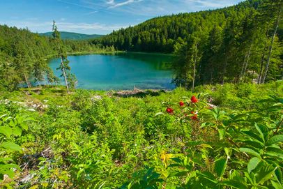 Der Frillensee