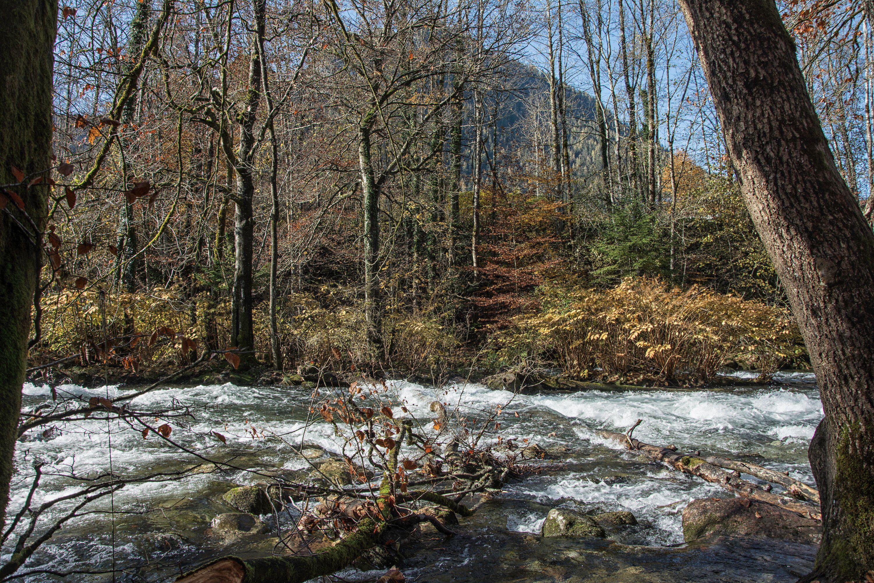 Herbst an der Königsseer Ache
