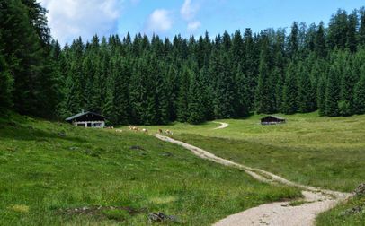 Kaser auf der Anthaupten-Alm