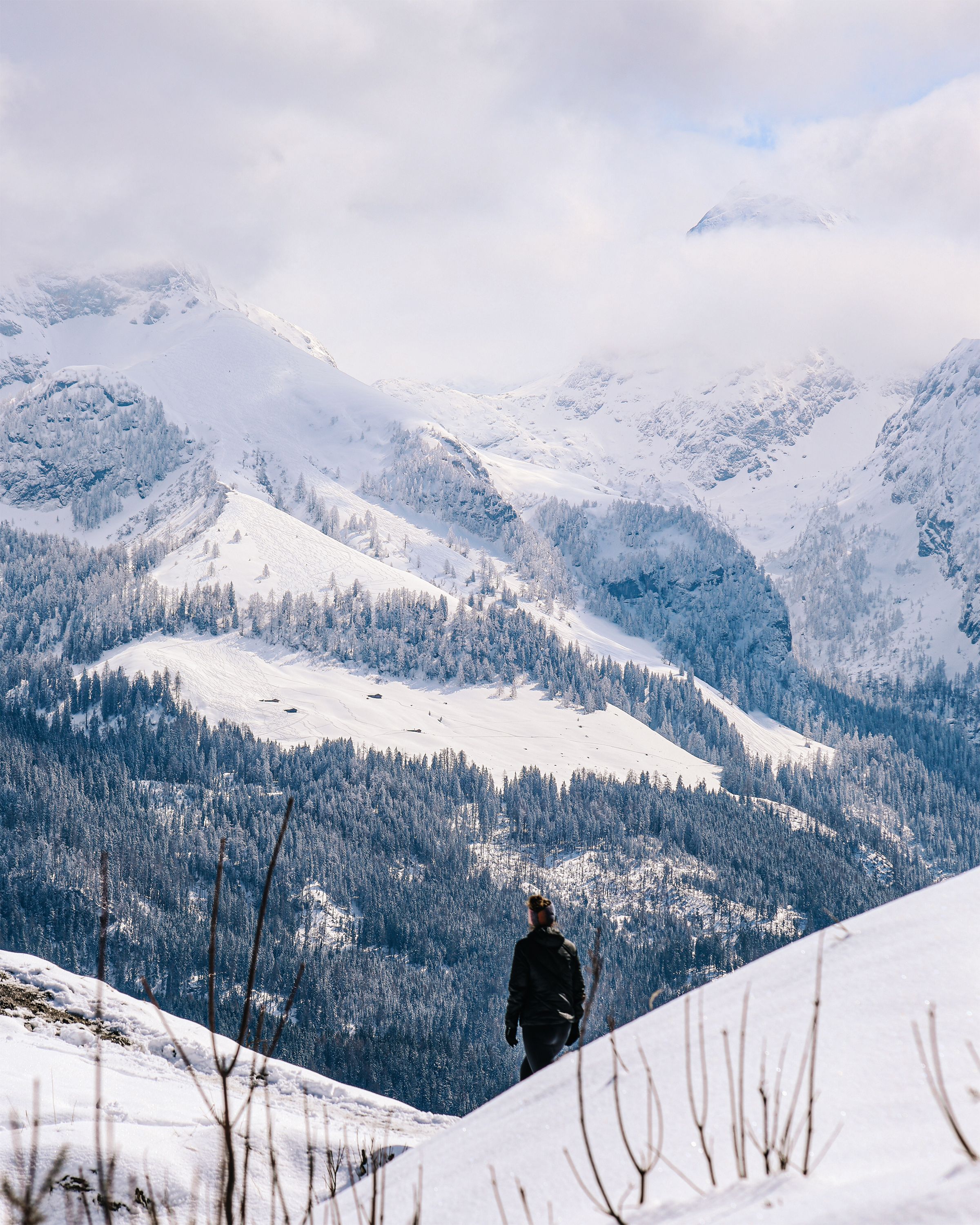 Winter am Grünstein