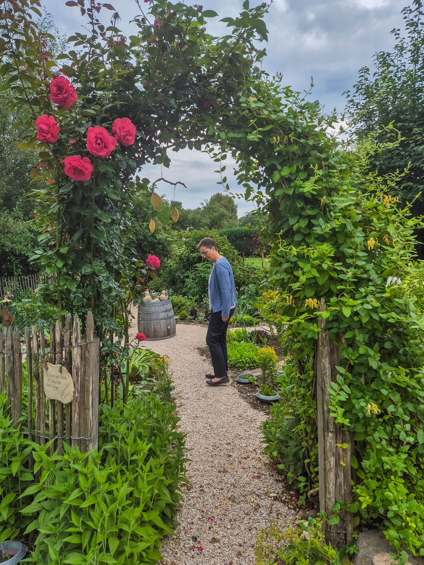 Ein Rosen-Tor-Bogen im Gesundheitsgartl 