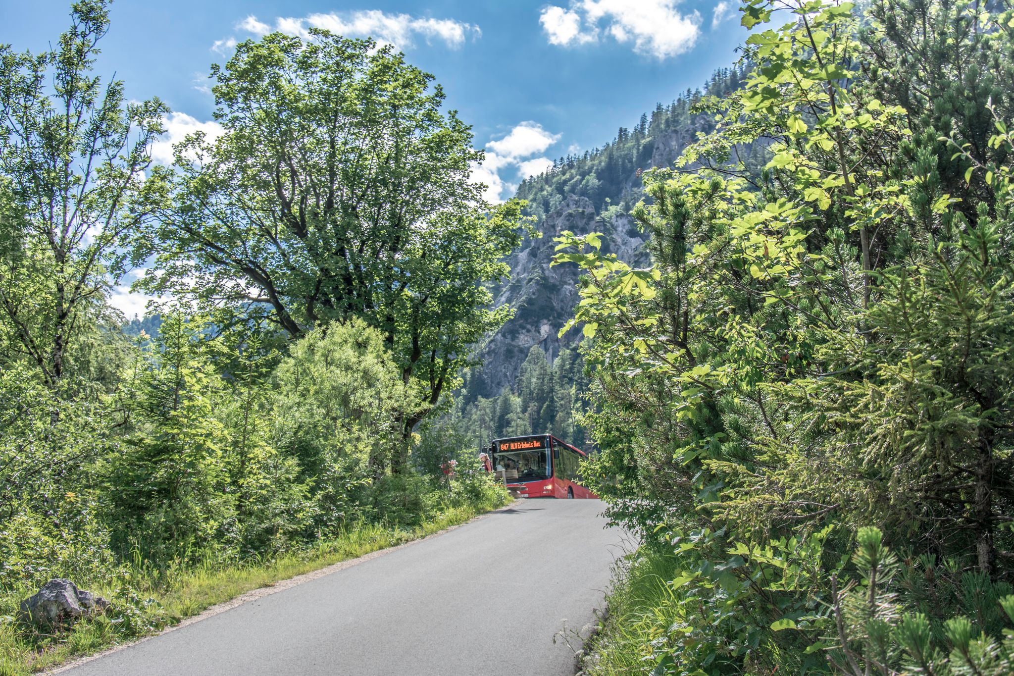 Der Almerlebnisbus im Klausbachtal