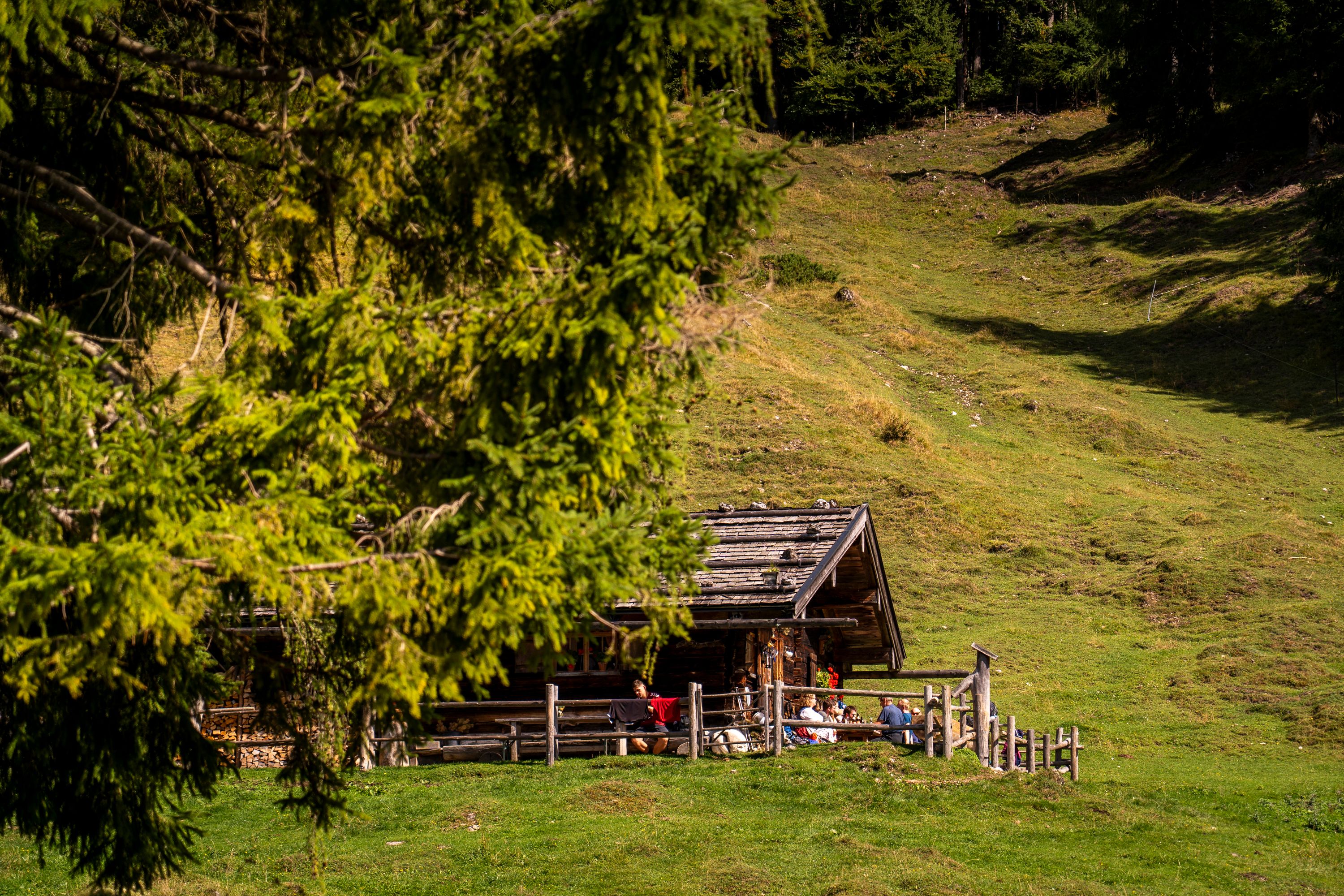 Beliebt bei Wanderern: Die Sellarnalm
