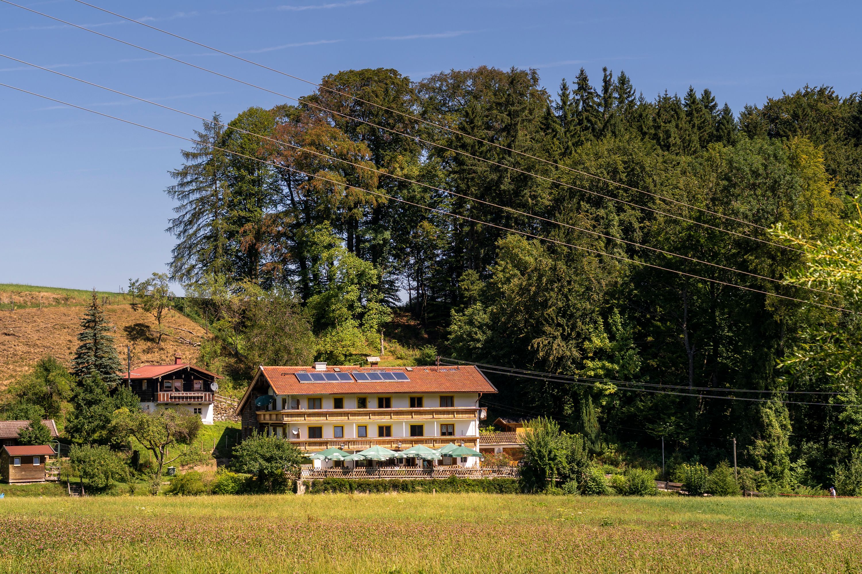 Unweit des Weges liegt das Gasthaus Waldfriede