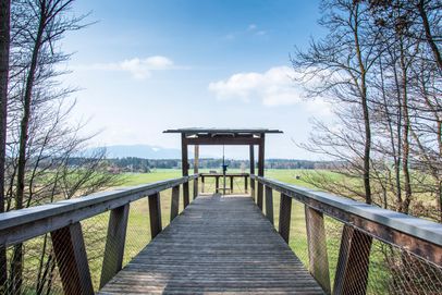 Besucherplattform Haarmoos am Abtsdorfer See