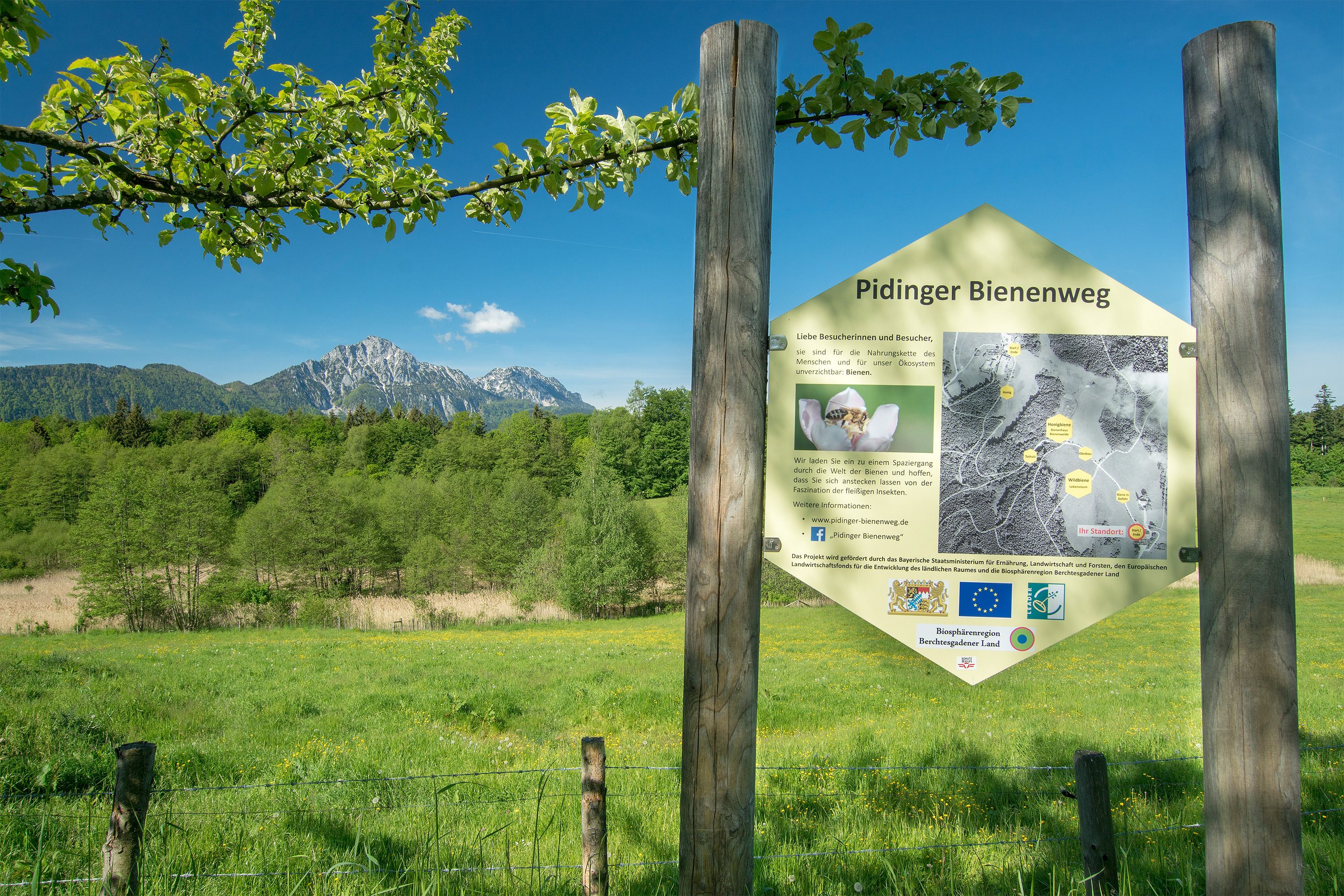 Der Pidinger Bienenweg