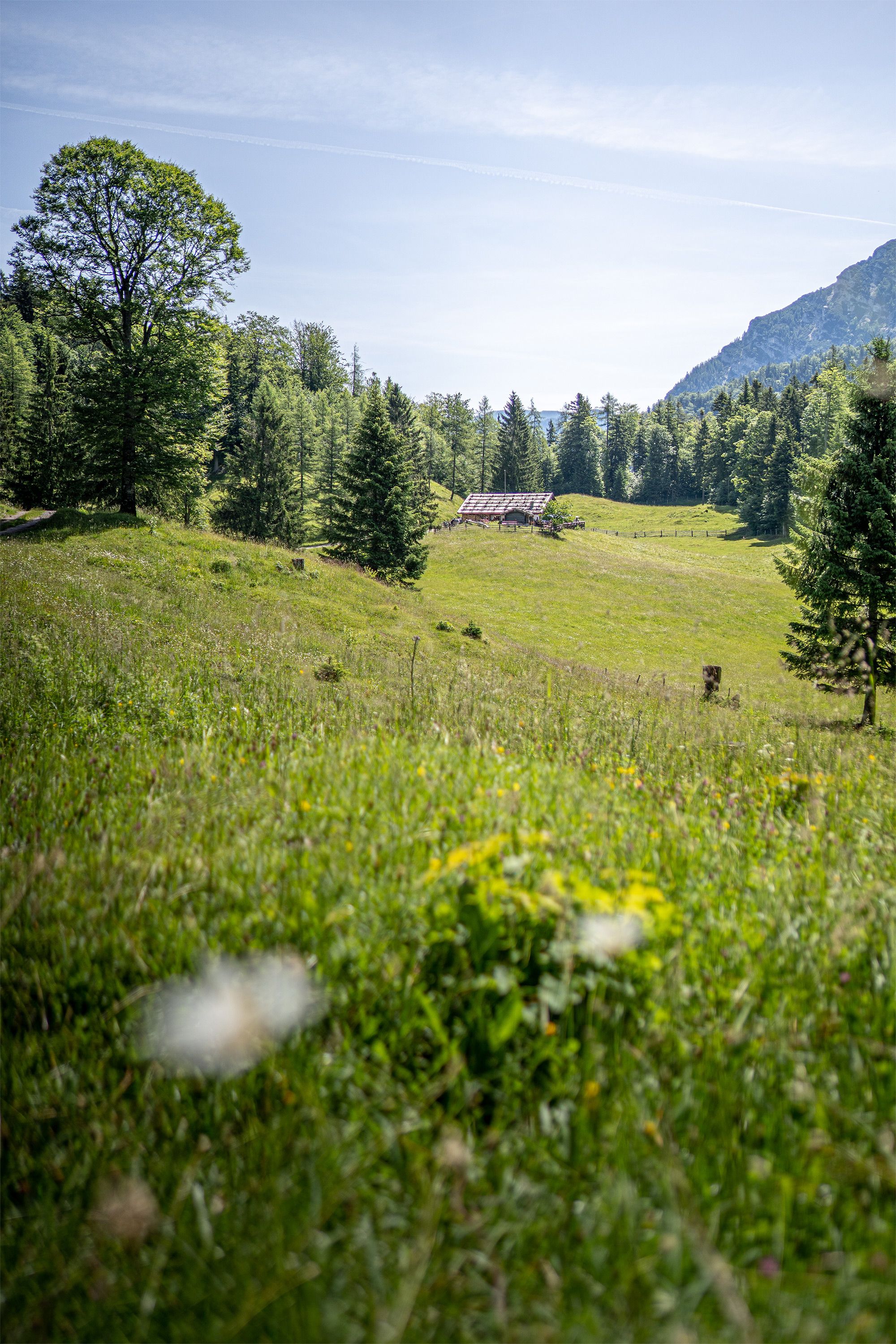 Die Reiteralm bei Weißbach