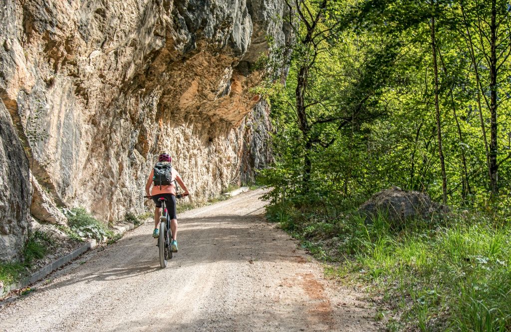 Die Röthelbach Forststraße