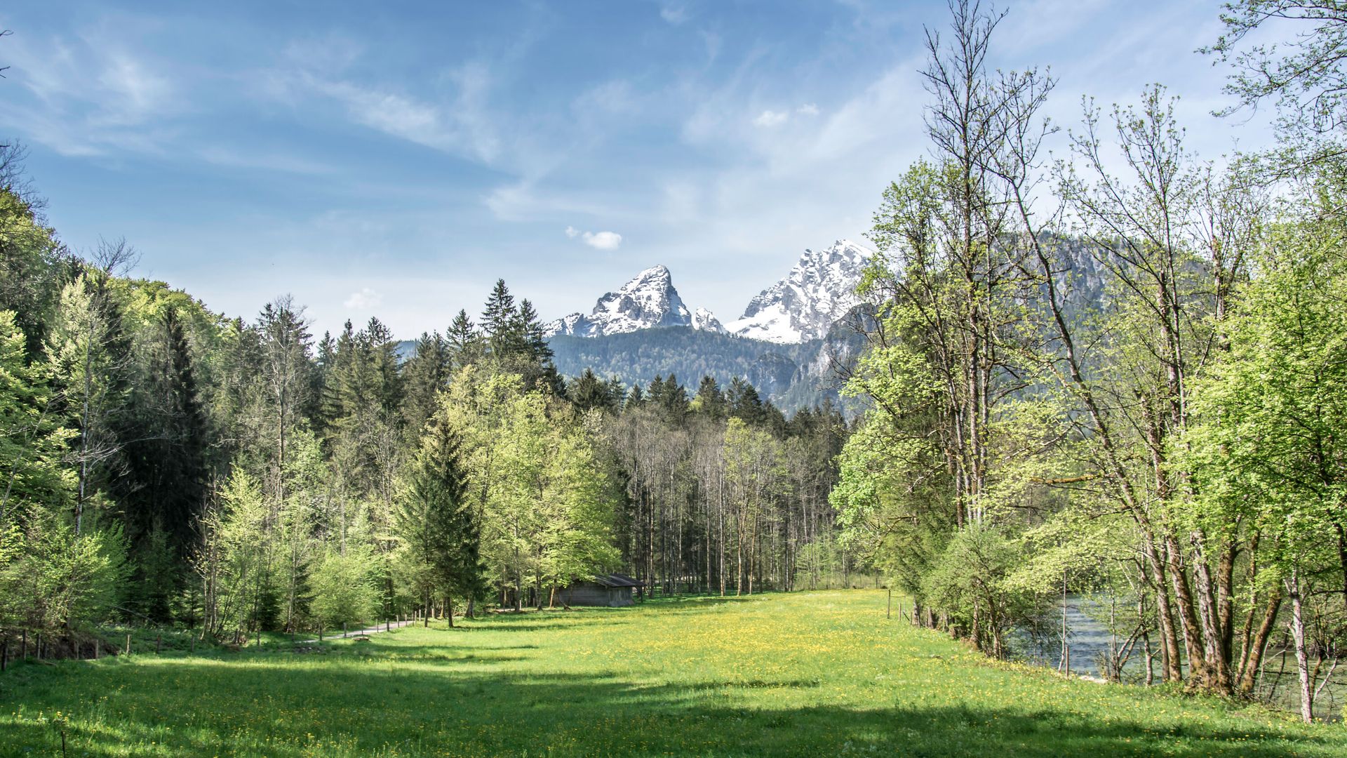 Blick zum Watzmann vom Königsseer Fußweg