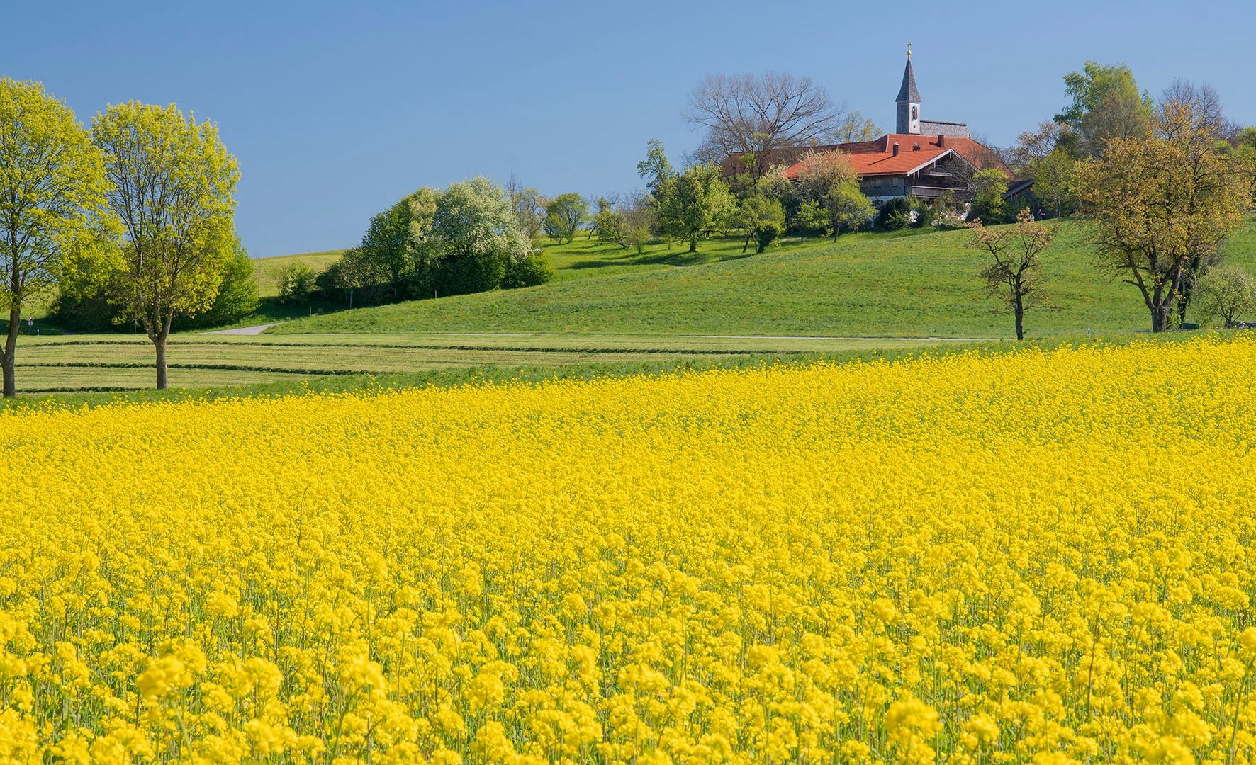 Blick auf Steinhögl