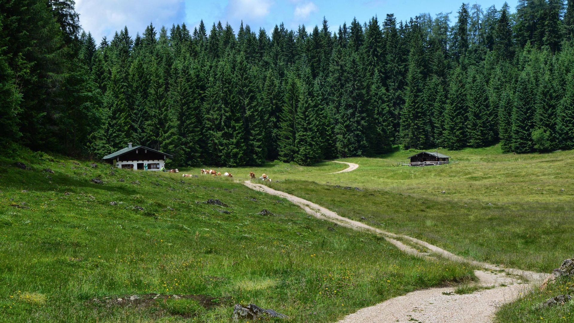 Kaser auf der Anthaupten-Alm