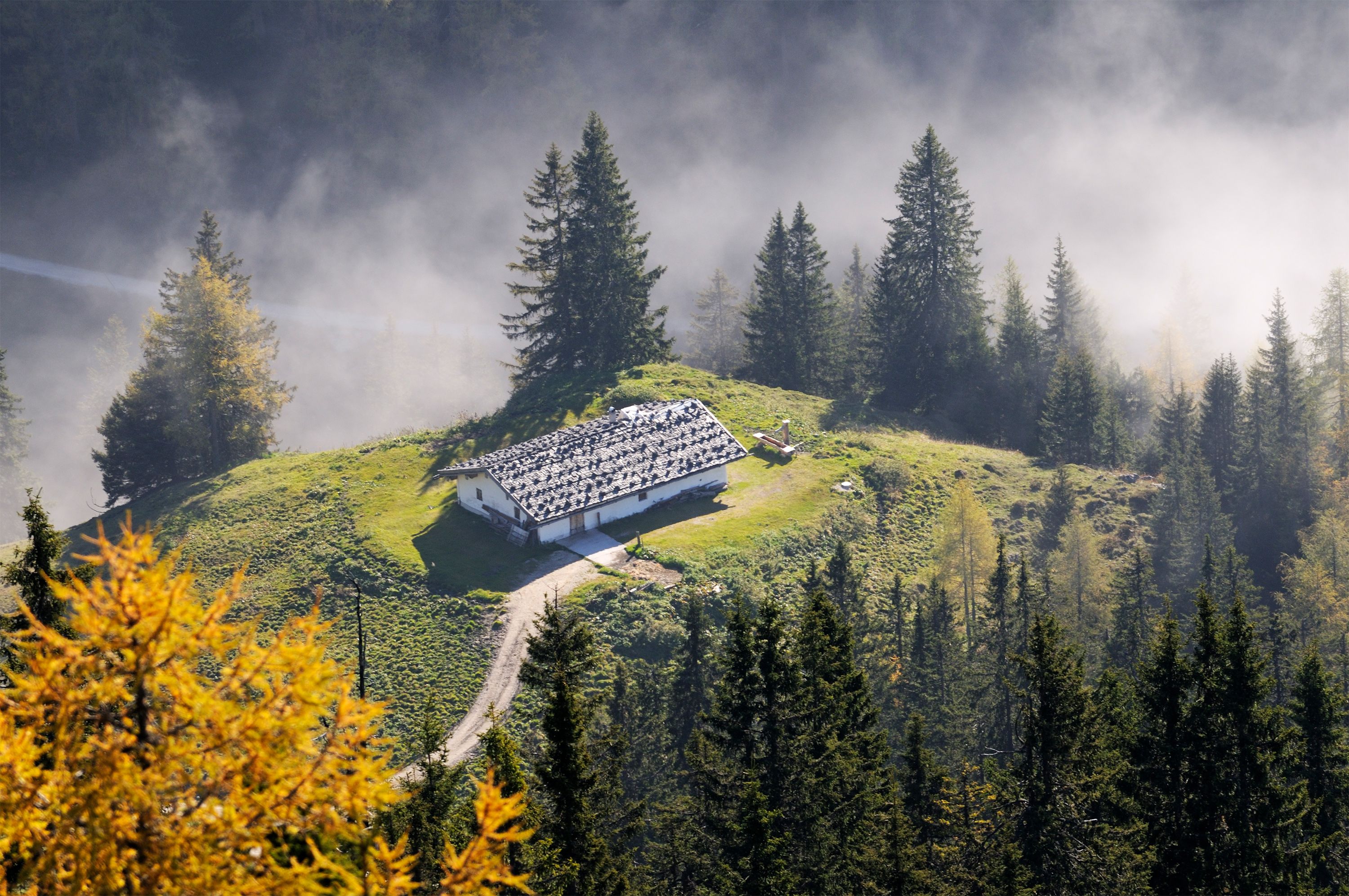 Blick vom Jenner zum Sulzbergkaser im darunterliegenden Nebelmeer