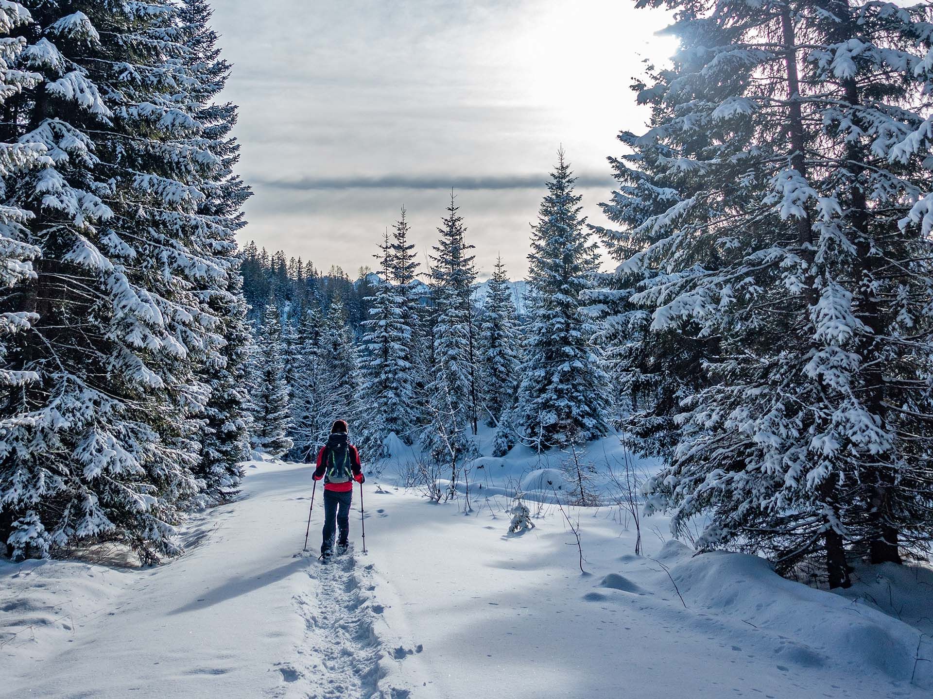 Bild zu Mit dem Biosphären-Ranger naturverträglich unterwegs: im Einklang mit Auerhuhn und Co.