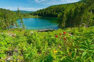 Der Frillensee
