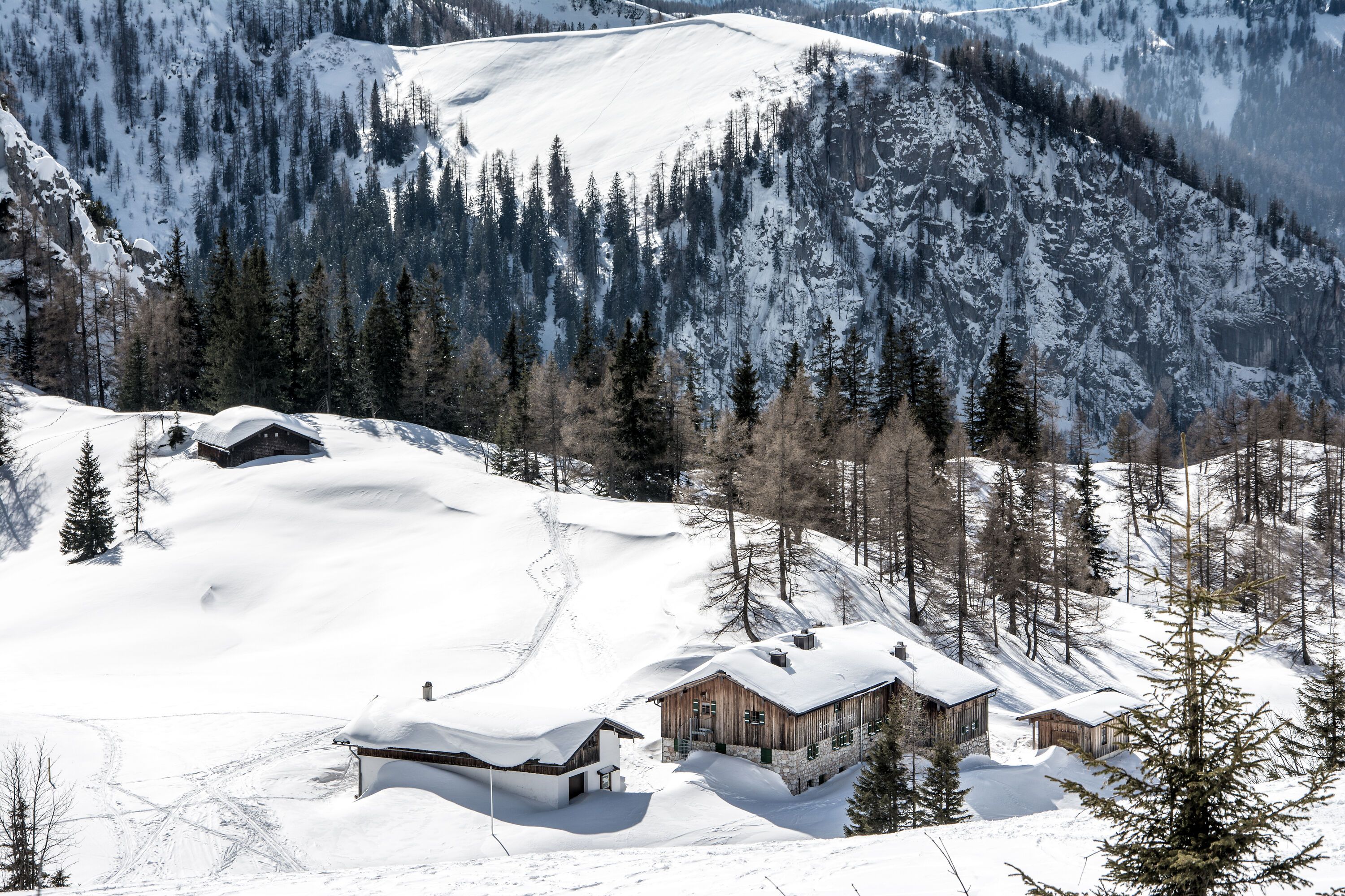 Winter at the Schneibsteinhaus