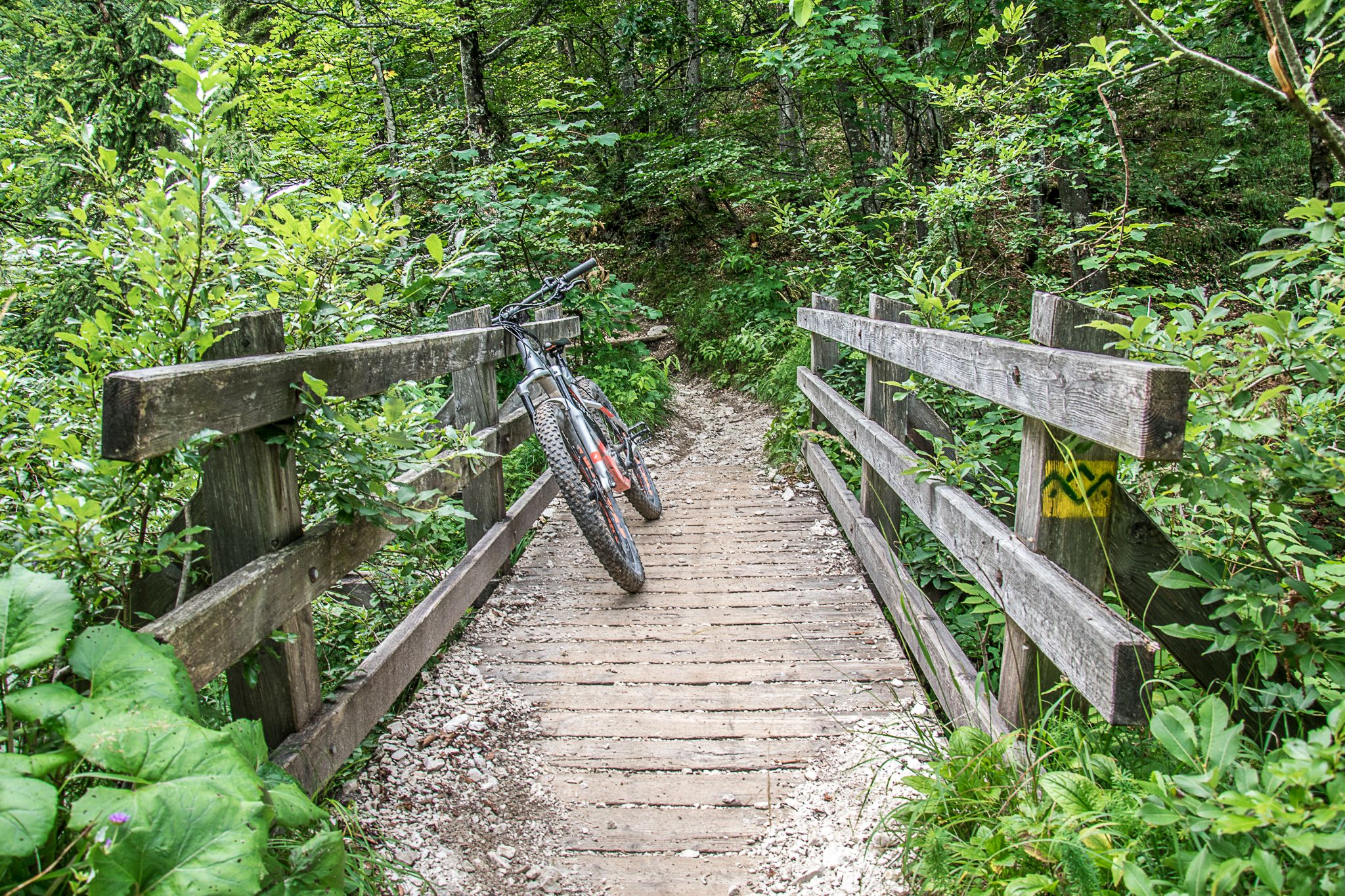 Dieser Weg ist auch bei E-Bikern beliebt