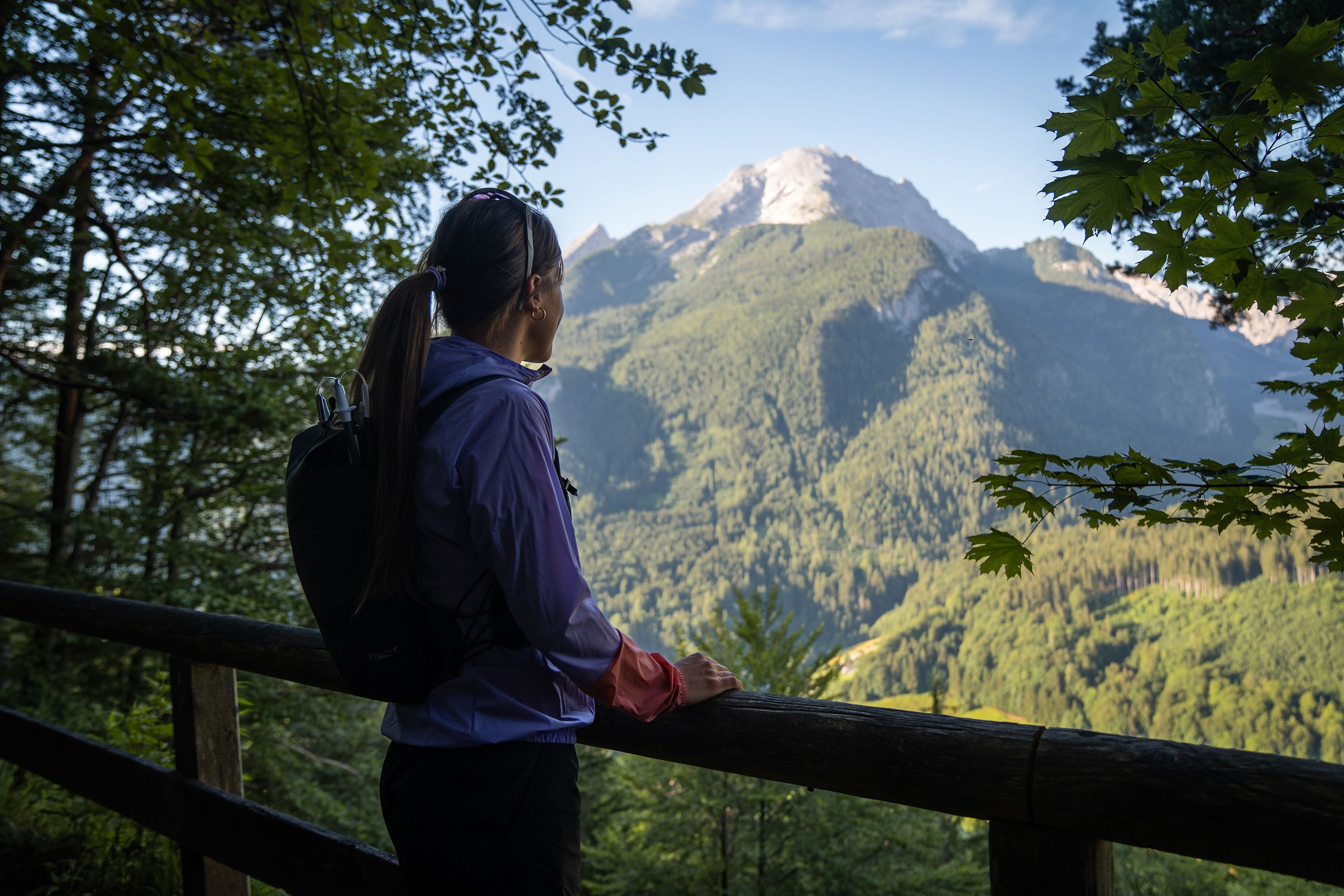Blick von der Soleleitung Ramsau zum Watzmann