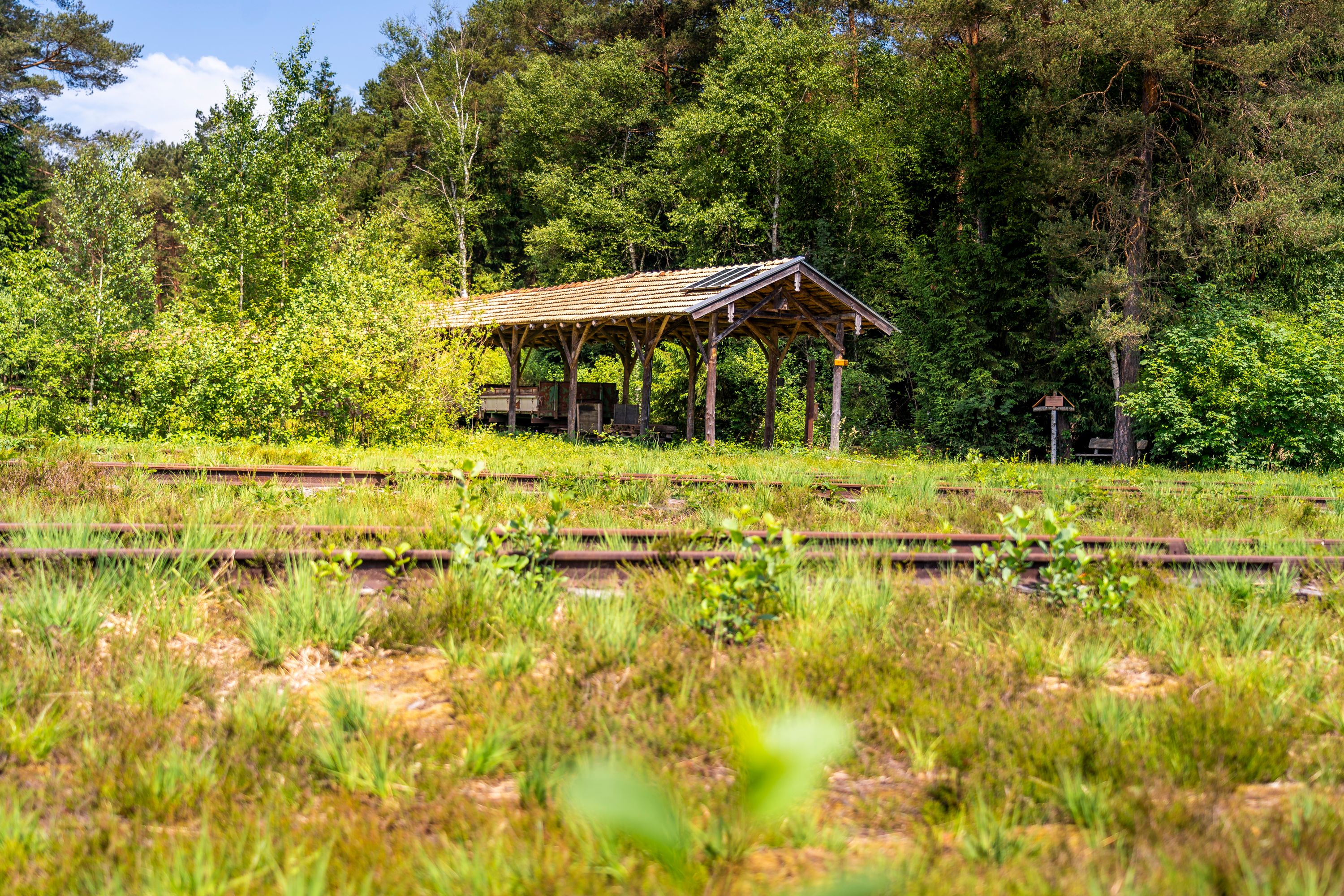 Gleise im Ainringer Moos