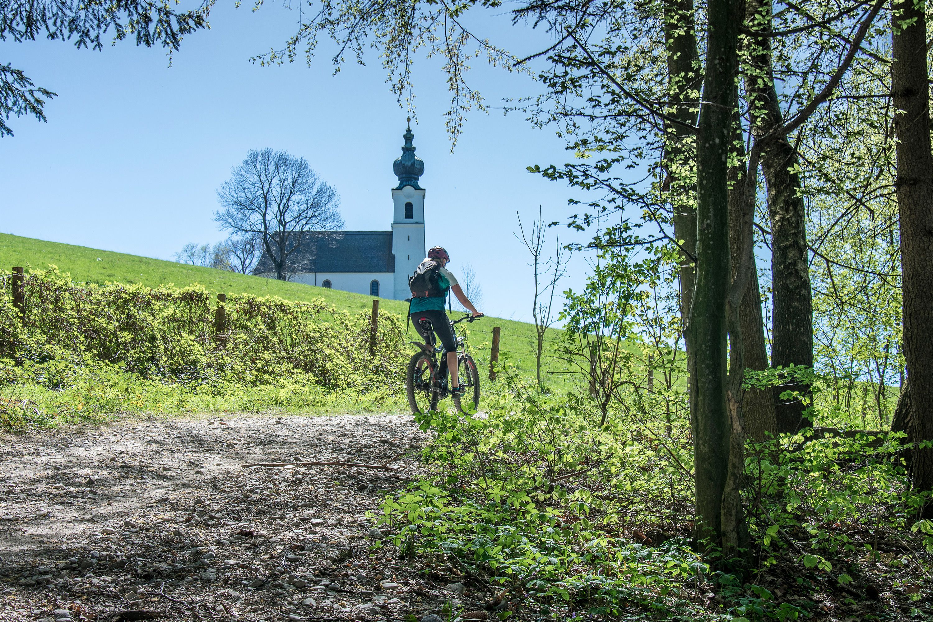 Mit dem Mountainbike am Högl unterwegs