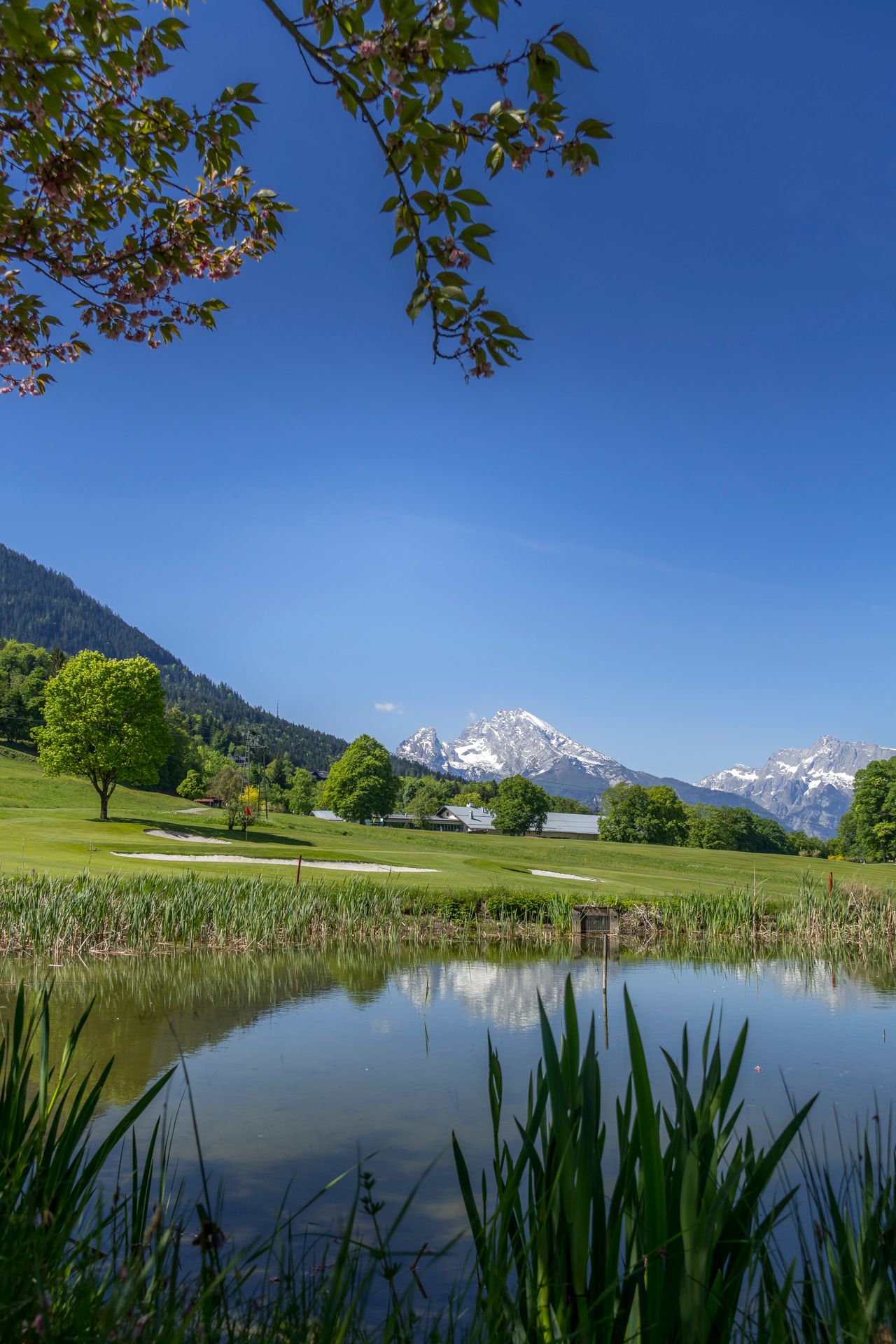 Strahlend blauer Himmel über dem Watzmannmassiv
