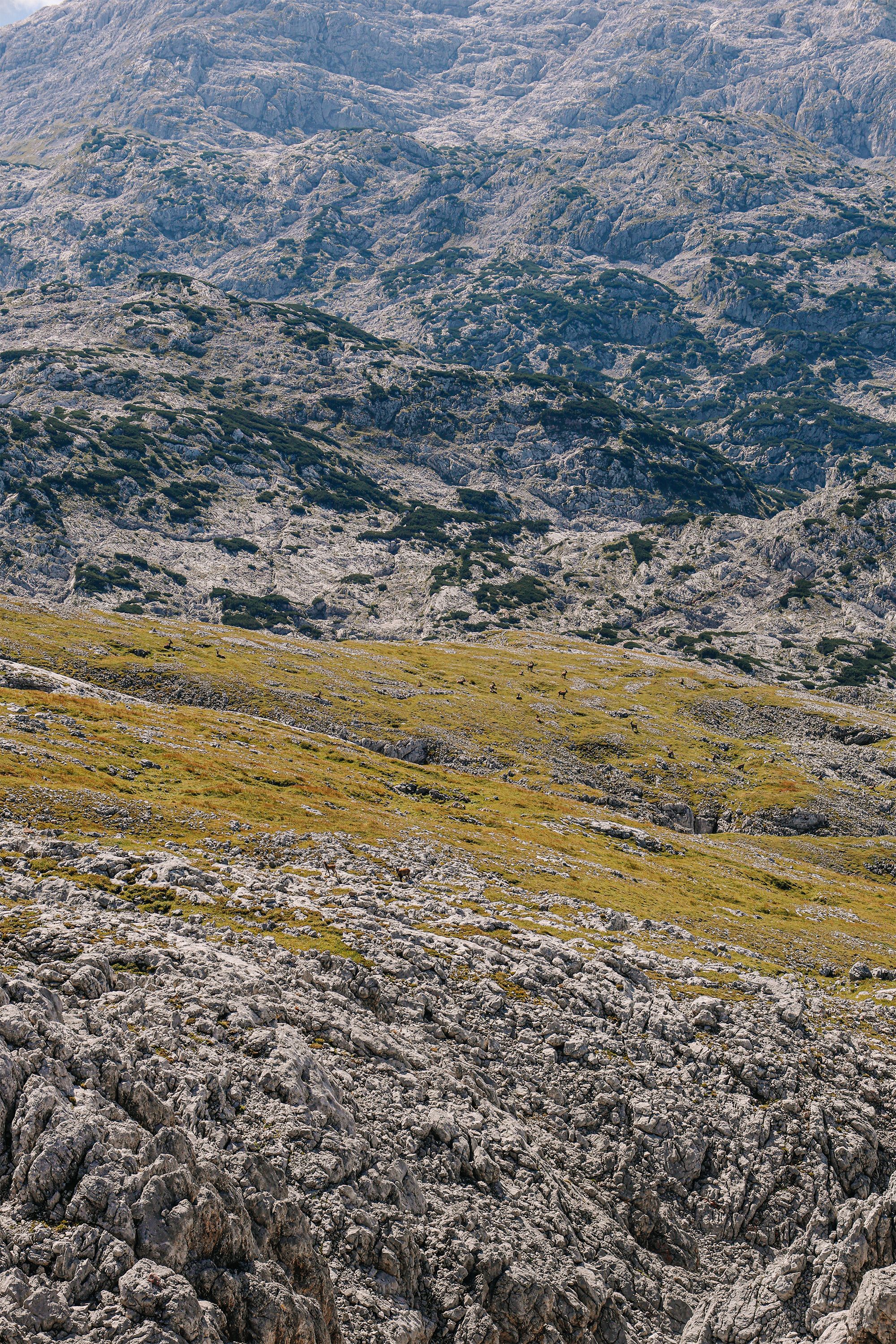 Blick vom Kahlersberg ins Hagengebirge