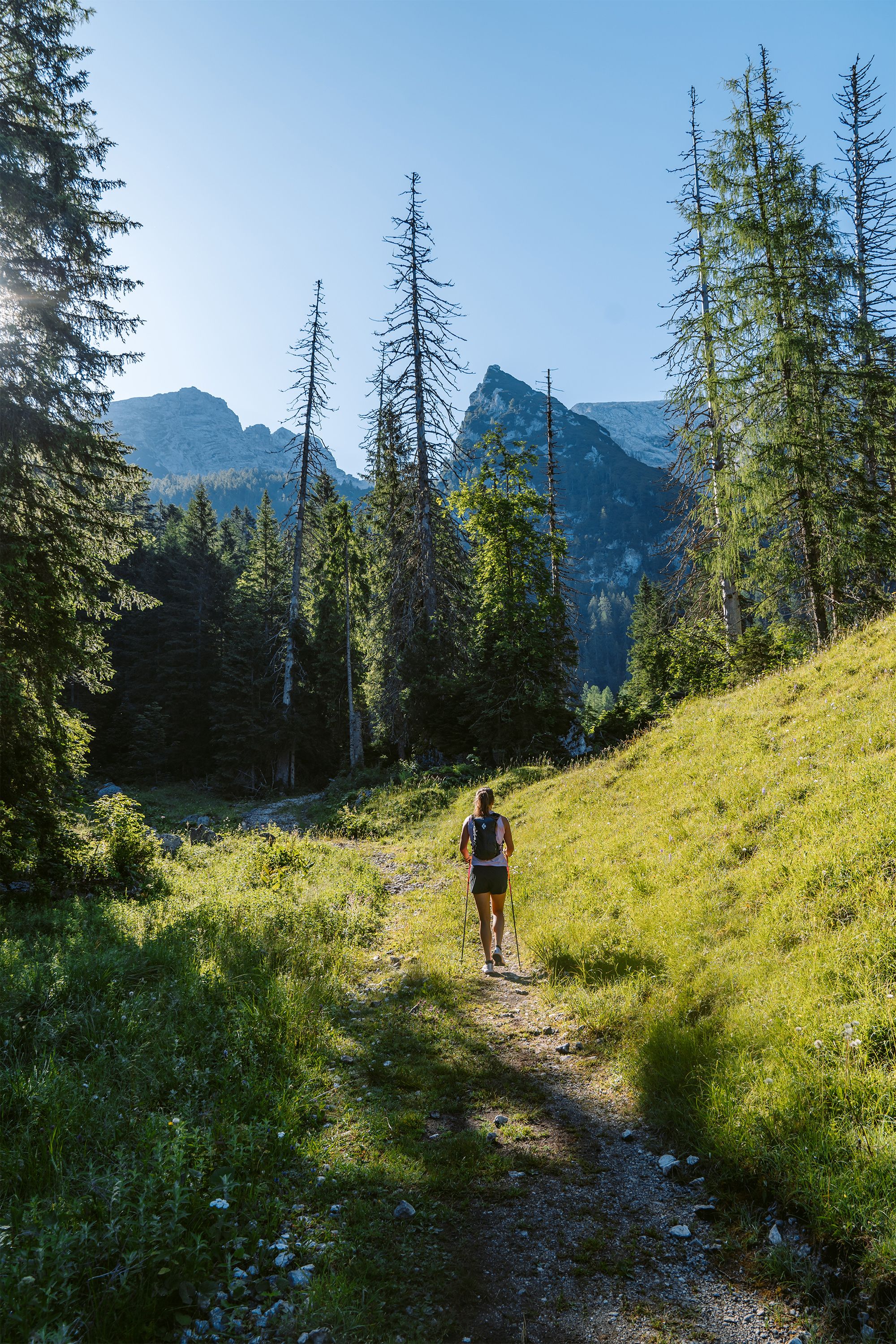 Über die Mittereisalm zum Kammerlinghorn