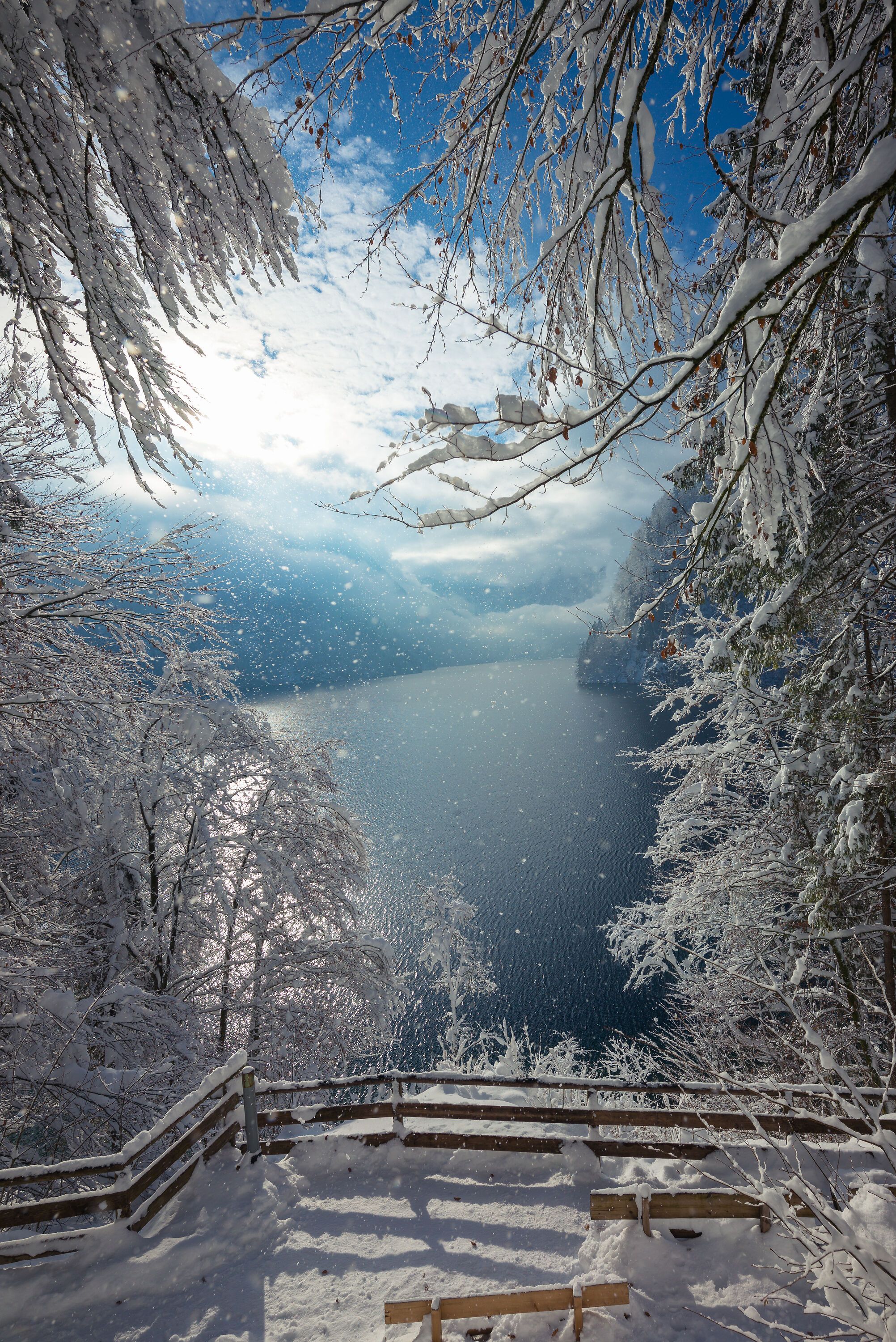Winter am Malerwinkl Königssee