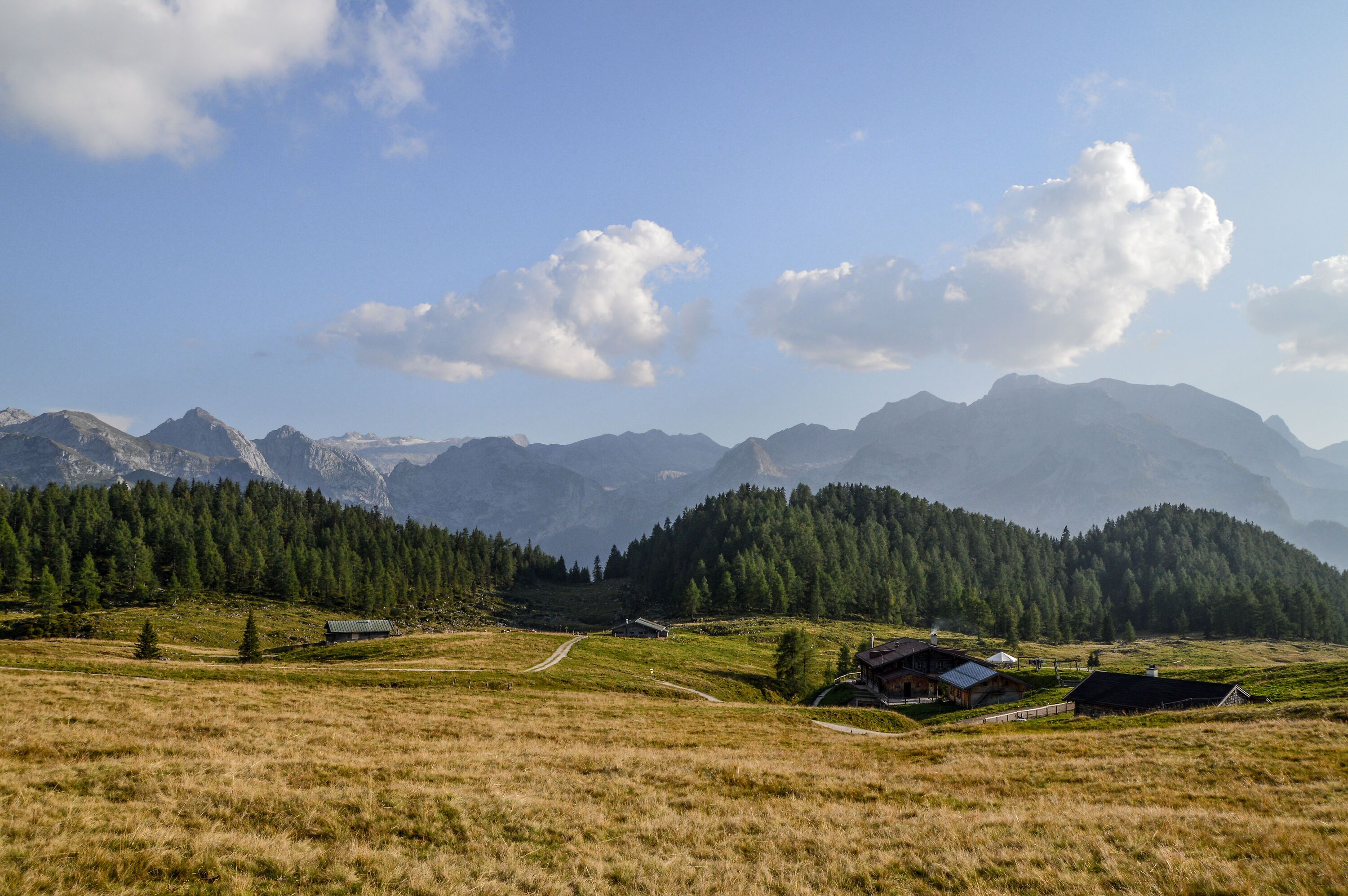 Die Gotzenalm: Alm und Berghütte