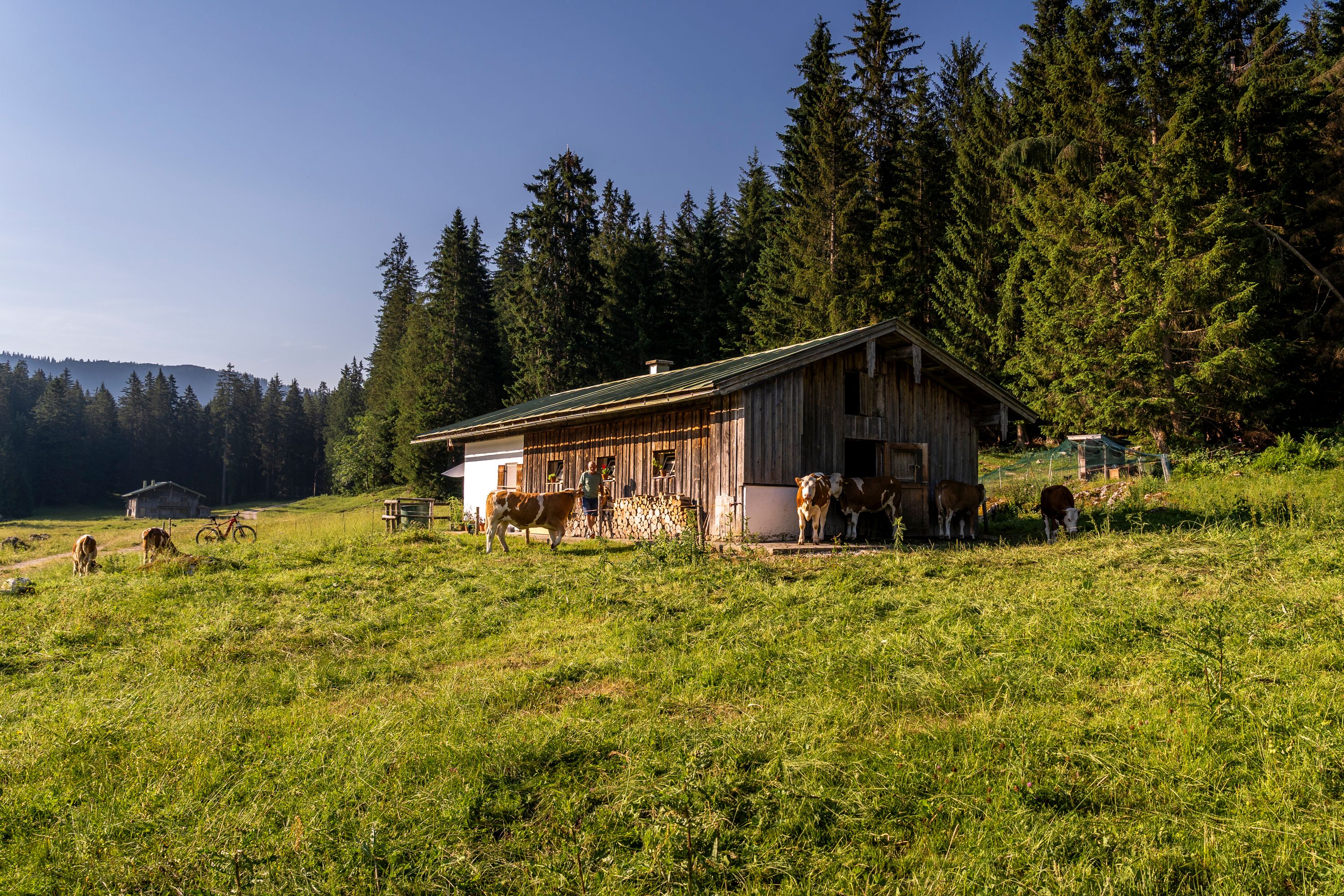 Der Egglerkaser auf der Anthaupten