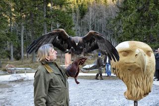 Wolfgang Czech mit seiner Adlerdame Jennifer