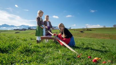Die Eier werden über den Rechenstiel runtergerollt
