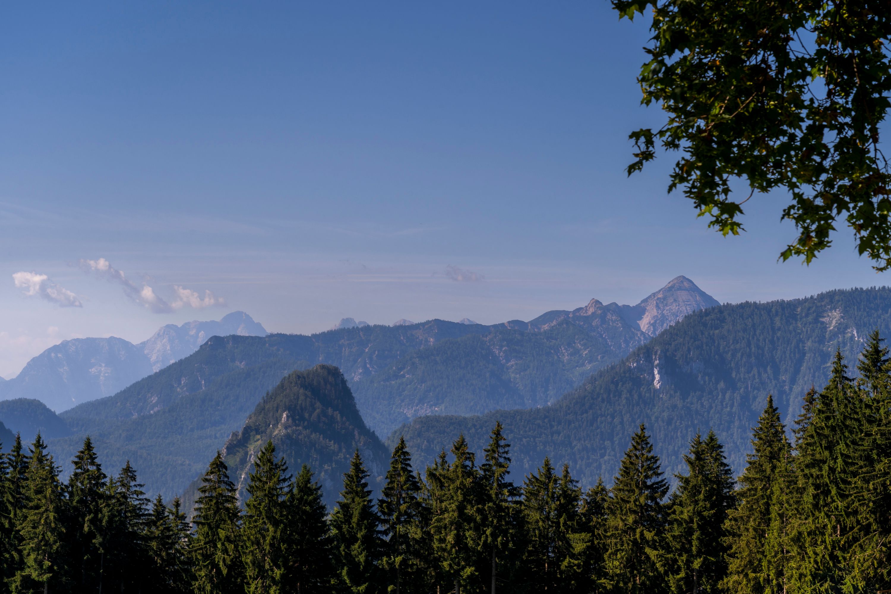Blick zu den Chiemgauer Bergen