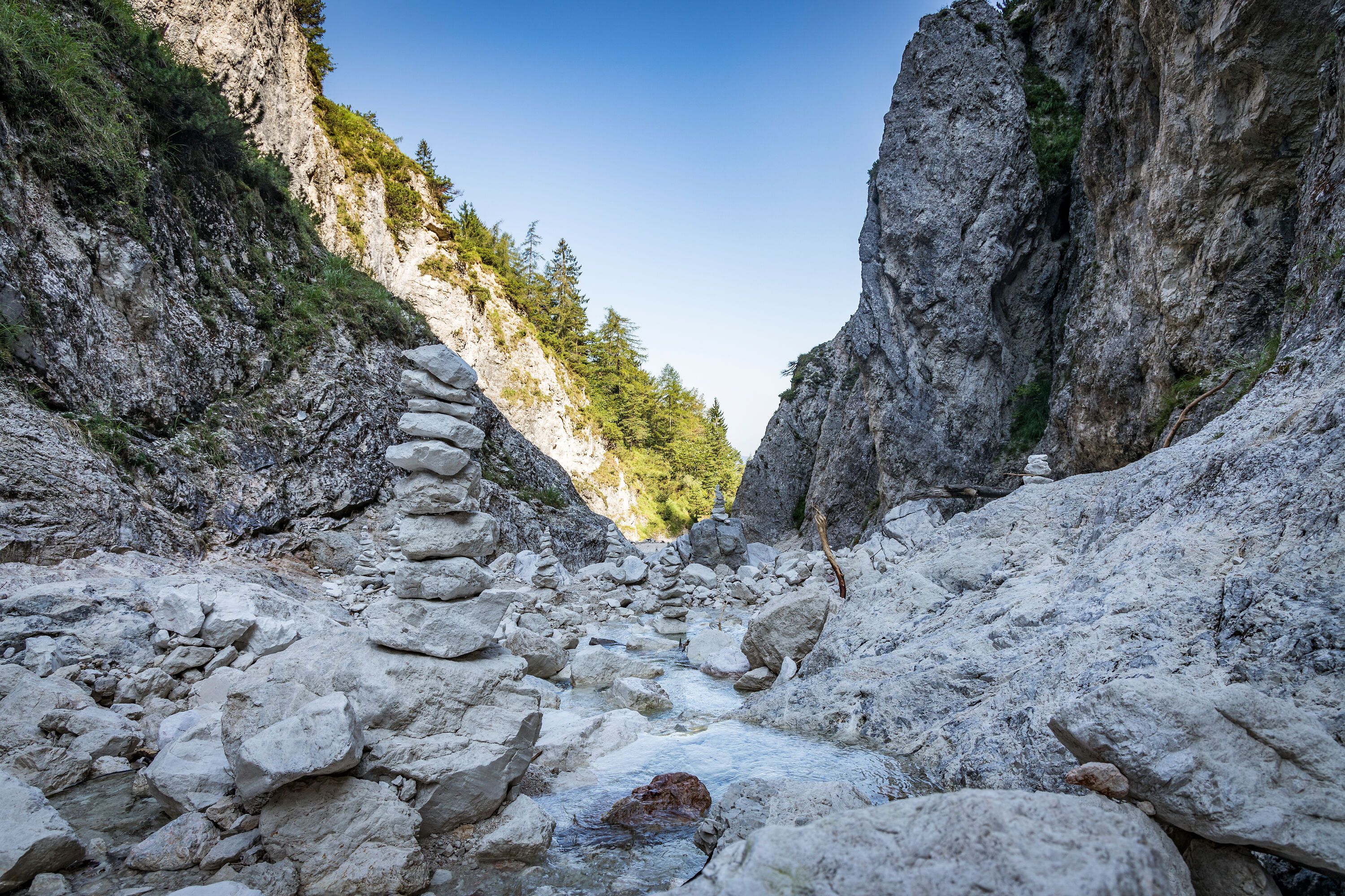 In der SpeikIn der Speik