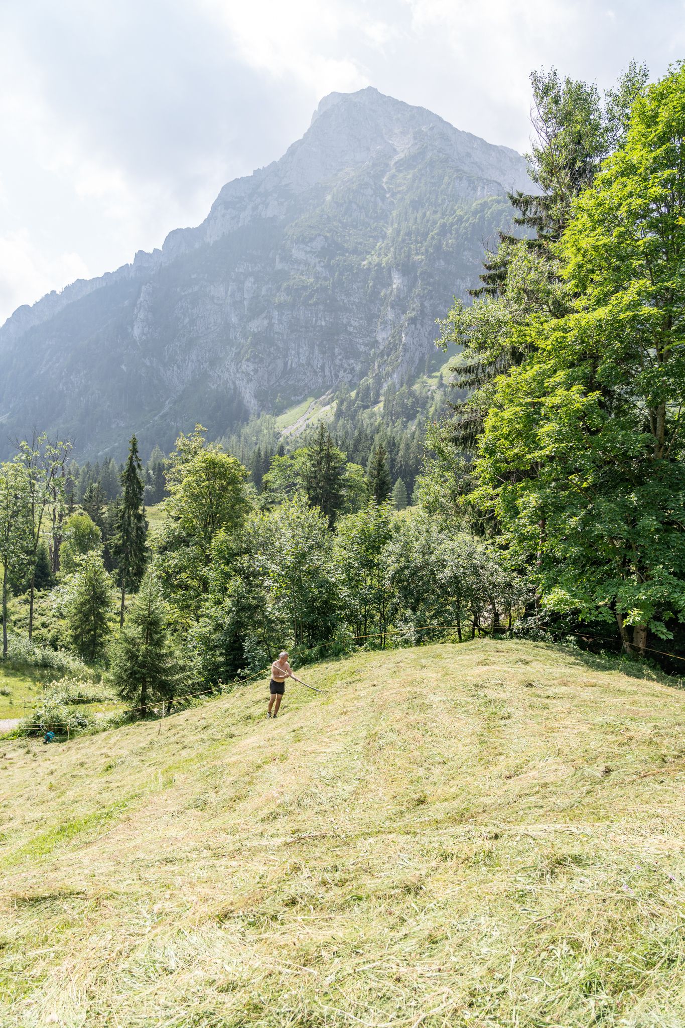 Händische Heuernte Steiner Alm