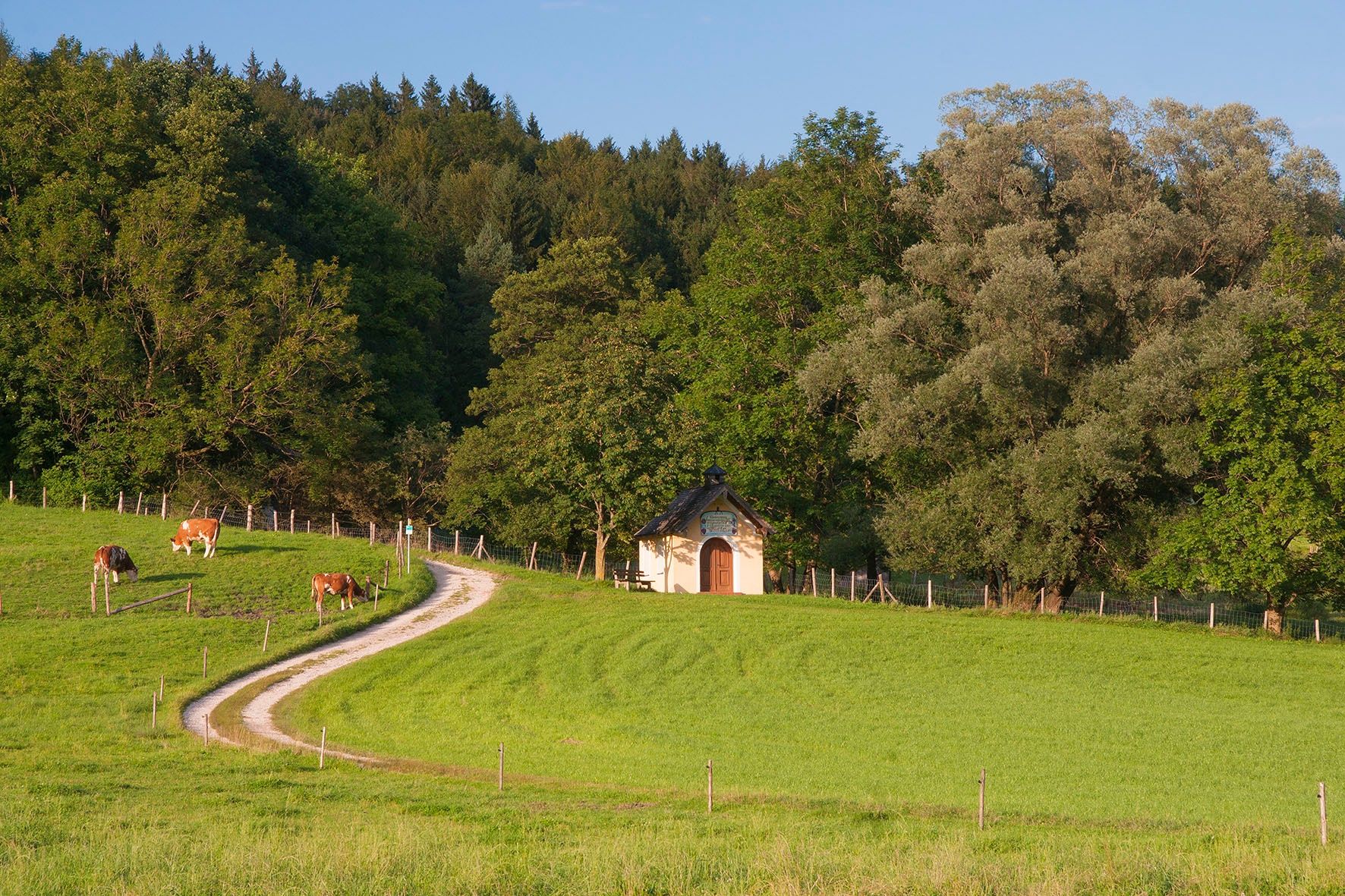 Talrunde Aufham - Piding