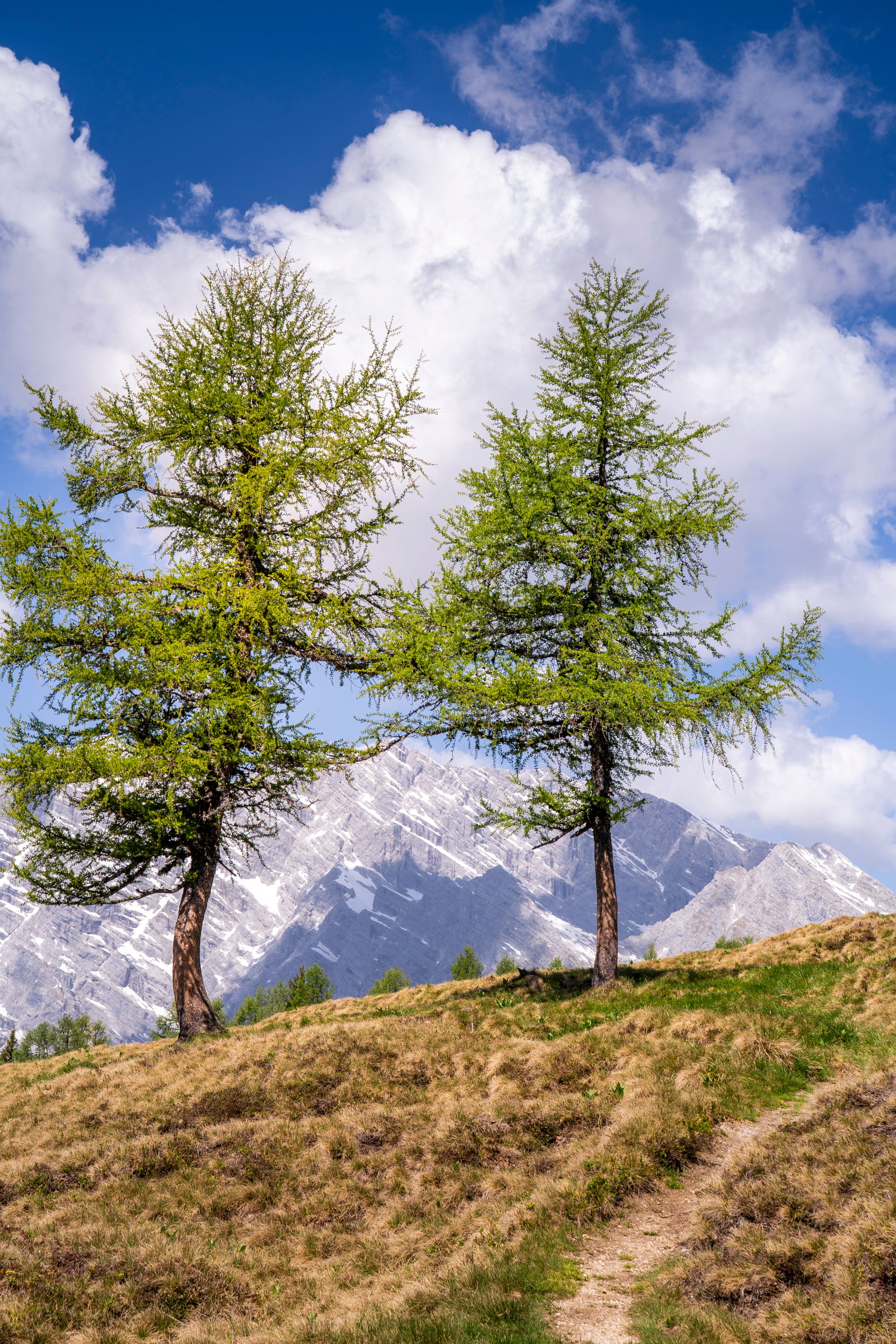 Auf der Gotzenalm