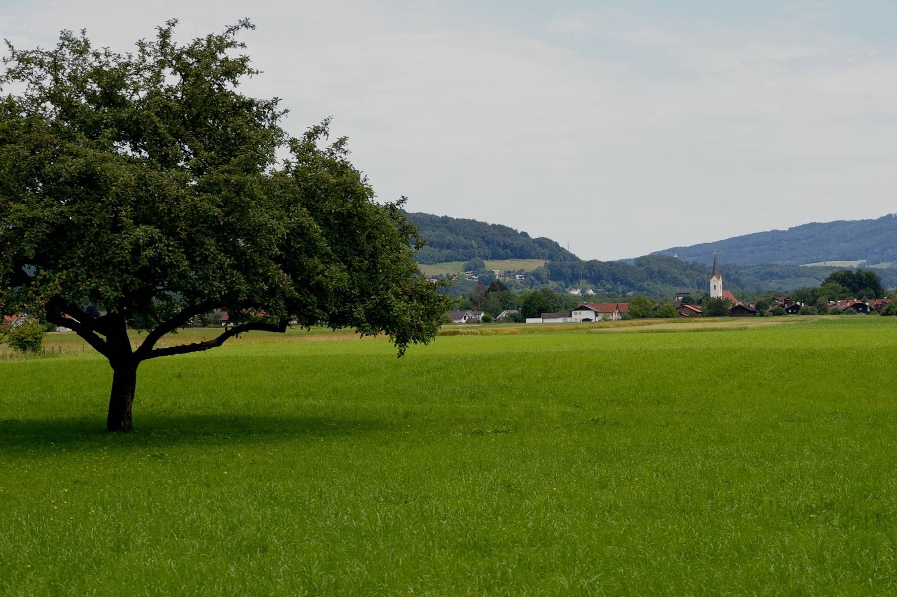 Freilassinger Radrundweg